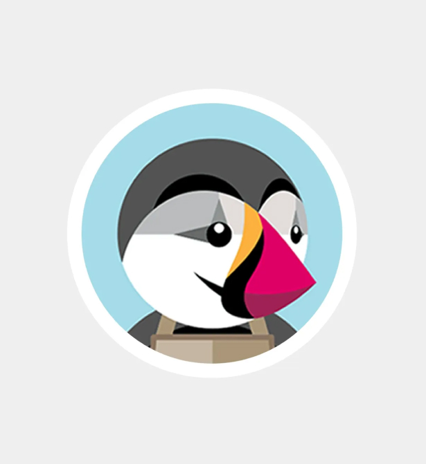 More Solutions Powered by Our PrestaShop Developers