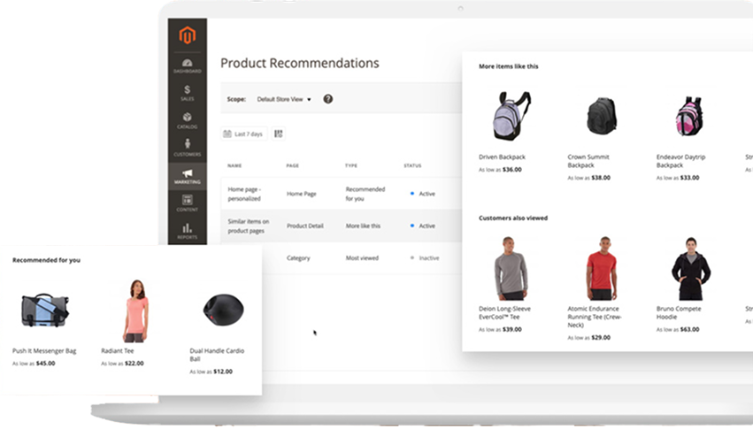 Build Smarter Solutions with a Trusted Magento Development Partner