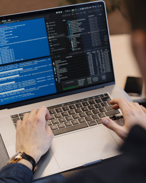 Build a Range of Solutions with WordPress Development Company India